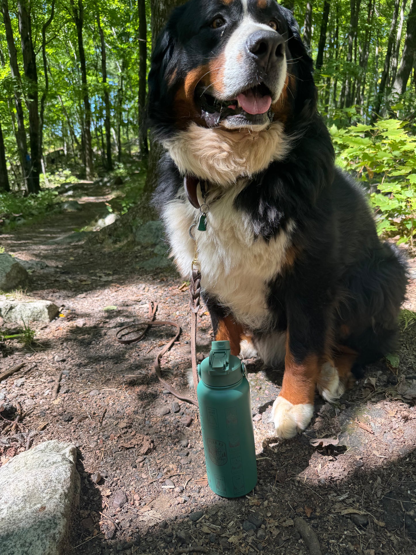 Trail Scout - Founders Launch